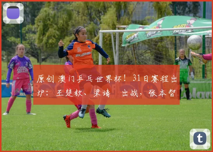 原创 澳门乒乓世界杯！31日赛程出炉：王楚钦、梁靖崑出战，张本智和亮相